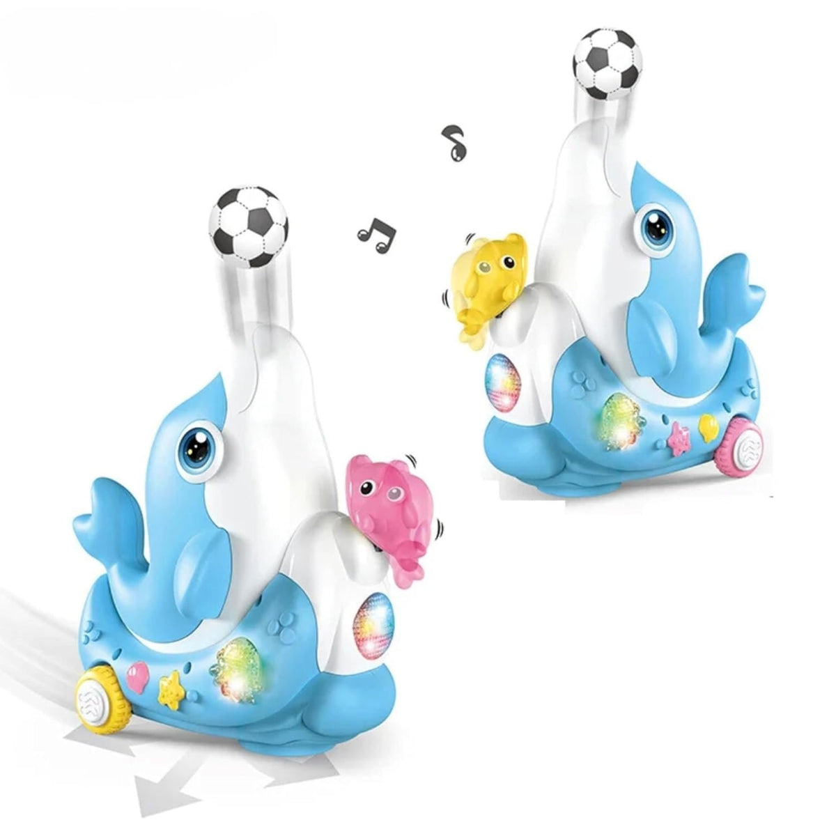 Dolphin Melody Magic With Music And Motion