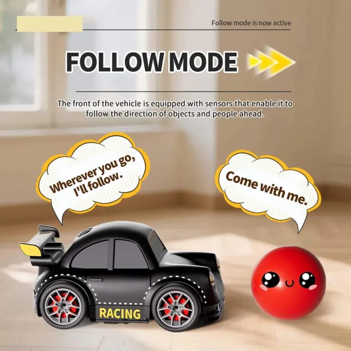 Mini Multi-Functional Drift Car