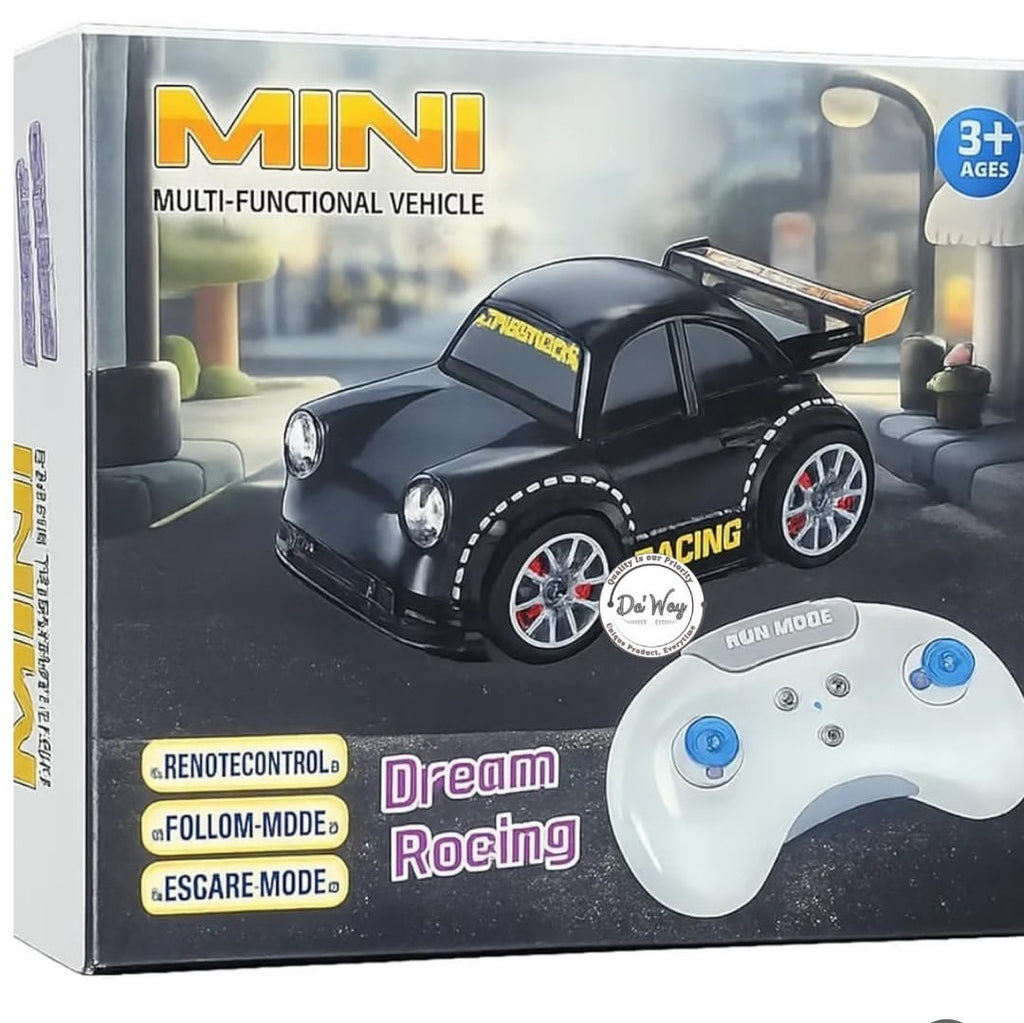 Mini Multi-Functional Drift Car